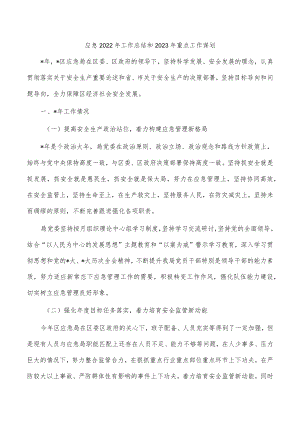 应急2022年工作总结和2023年重点工作谋划.docx