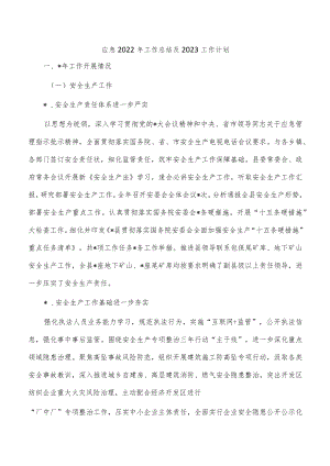 应急2022年工作总结及2023工作计划.docx