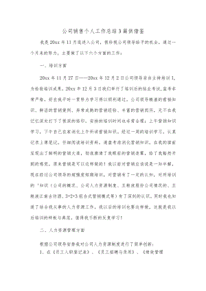 公司销售个人工作总结3篇供借鉴.docx