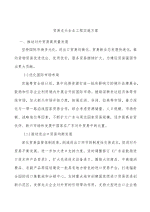 贸易龙头企业工程实施方案.docx