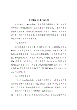 乡2022年工作总结.docx