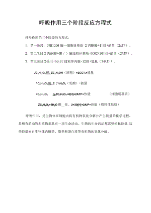 呼吸作用三个阶段反应方程式.docx