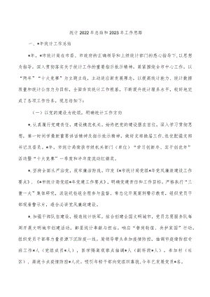 统计2022年总结和2023年工作思路.docx