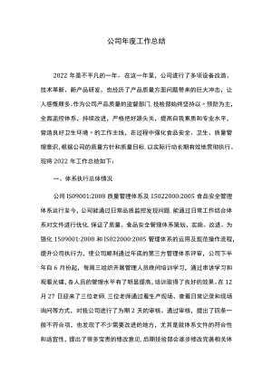 公司年度工作总结.docx