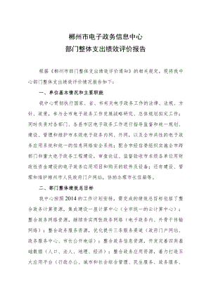 郴州市电子政务信息中心.docx