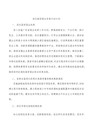 深化国资国企改革行动计划.docx