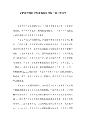 立足新发展阶段构建新发展格局三篇心得体会.docx