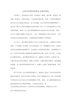 出纳试用期述职报告3篇供借鉴.docx