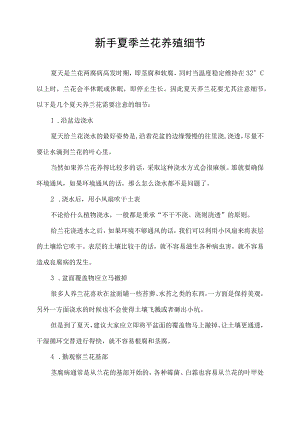 新手夏季兰花养殖细节.docx