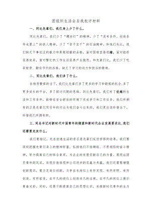 团组织生活会自我批评材料.docx