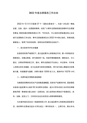 2022年度志愿服务工作总结.docx