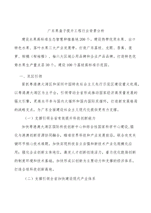 广东果盘子提升工程行业背景分析.docx