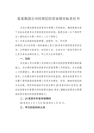 某某集团公司经理层经营业绩目标责任书.docx
