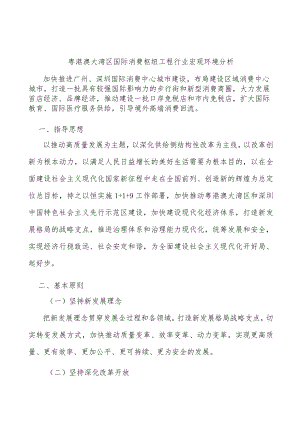 粤港澳大湾区国际消费枢纽工程行业宏观环境分析.docx