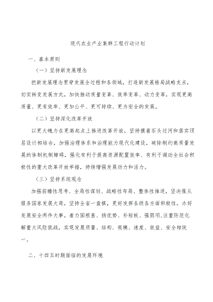 现代农业产业集群工程行动计划.docx