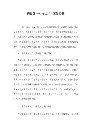 高新区2022年上半年工作汇报.docx