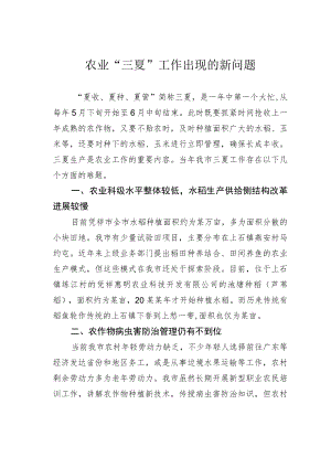 农业“三夏”工作出现的新问题.docx