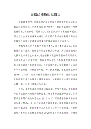 香菇烂棒原因及防治.docx
