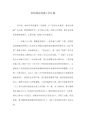 农村基层党建工作汇报.docx