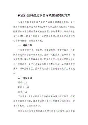农业行业自建房安全专项整治实施方案.docx