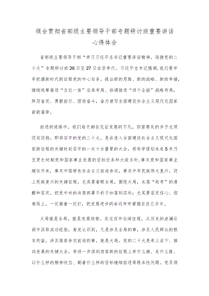 领会贯彻省部级主要领导干部专题研讨班重要讲话心得体会.docx