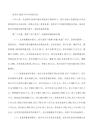 信用社2023年半年经验总结.docx