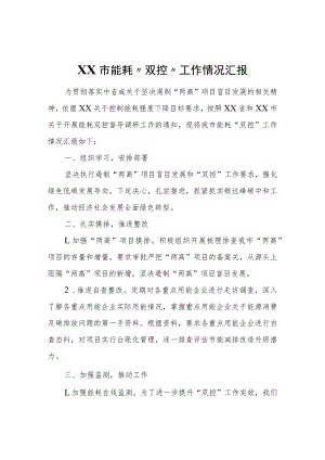 XX市能耗“双控”工作情况汇报.docx