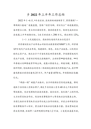 乡2022年上半年工作总结.docx