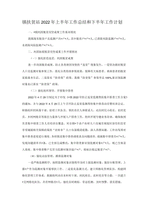 镇扶贫站2022年上半年工作总结和下半年工作计划.docx