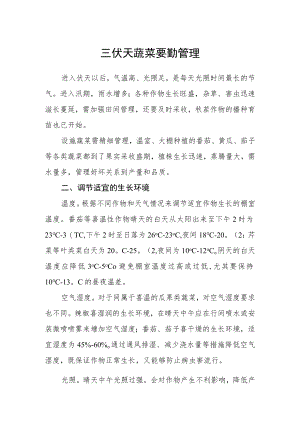 三伏天蔬菜要勤管理.docx