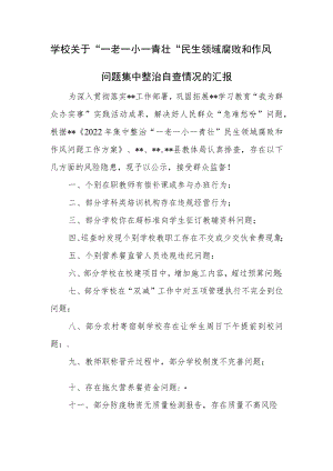 学校关于“一老一小一青壮”民生领域腐败和作风问题集中整治自查情况的汇报.docx