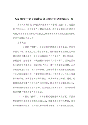 XX镇关于党支部建设规范提升行动的情况汇报.docx