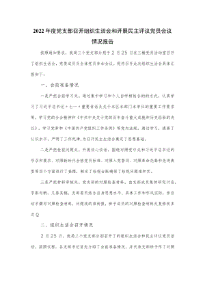 2022年度党支部召开组织生活会和开展民主评议党员会议情况报告（三页）.docx