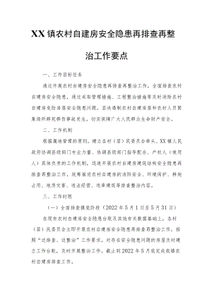 XX镇农村自建房安全隐患再排查再整治工作要点.docx