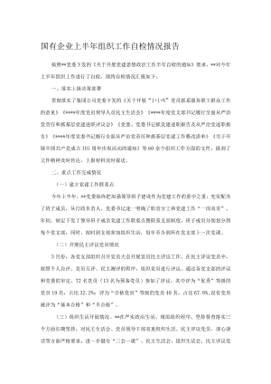 国有企业上半年组织工作自检情况报告.docx