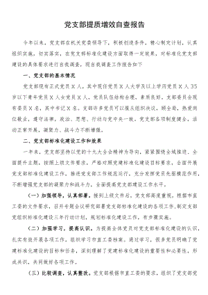 党支部提质增效自查报告.docx