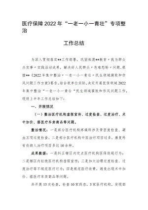 医疗保障2022年“一老一小一青壮”专项整治工作总结.docx