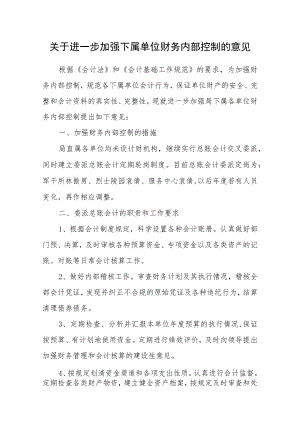 关于进一步加强下属单位财务内部控制的意见.docx
