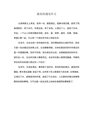 最美的遇见作文.docx