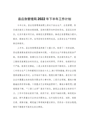 县应急管理局2022年下半年工作计划.docx