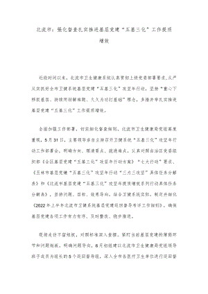 北流市：强化督查扎实推进基层党建“五基三化”工作提质增效.docx