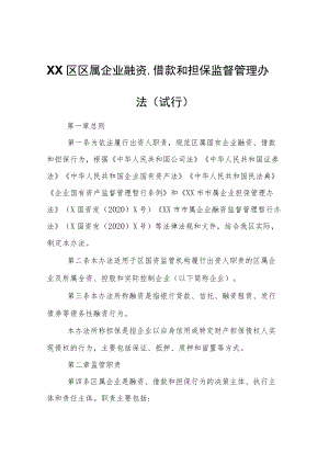 XX区区属企业融资、借款和担保监督管理办法（试行）.docx