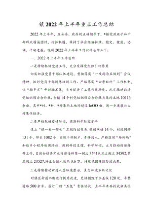 镇2022年上半年重点工作总结.docx