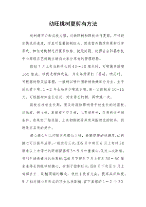 幼旺桃树夏剪有方法.docx