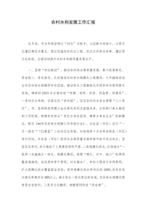 农村水利发展工作汇报.docx