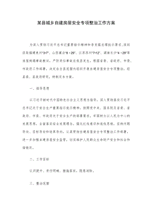 某县城乡自建房屋安全专项整治工作方案.docx
