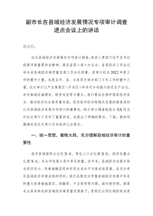 副市长在县域经济发展情况专项审计调查进点会议上的讲话.docx