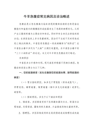 牛羊急腹症常见病因及诊治略述.docx