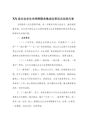 XX县企业全生命周期服务集成改革试点实施方案.docx