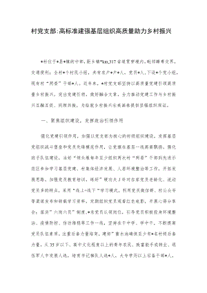 村党支部：高标准建强基层组织 高质量助力乡村振兴.docx
